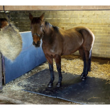 Stable Wall Mats 10mm 6ft X 4ft, EVA Foam Mat